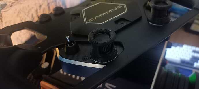 cammus1